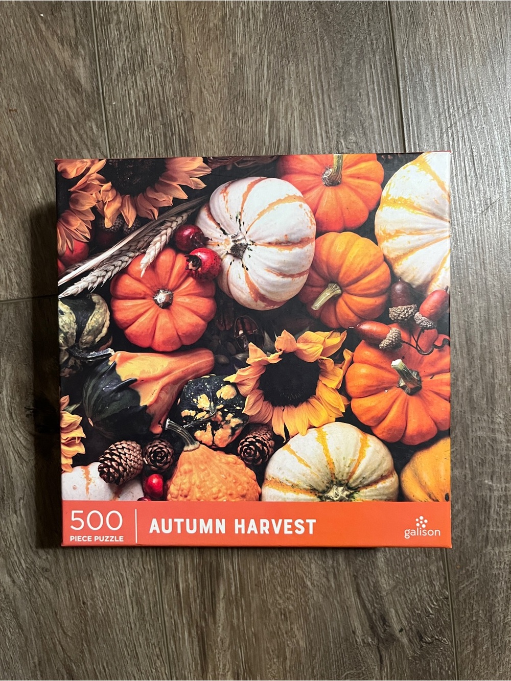 500 Piece fall puzzle